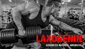 Спортивное питание Laxogenin – характеристики и особенности